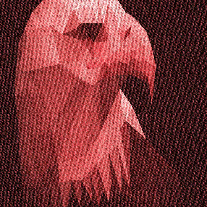 Machine Washable Transitional Fire Brick Red Rug, wshpat477rd