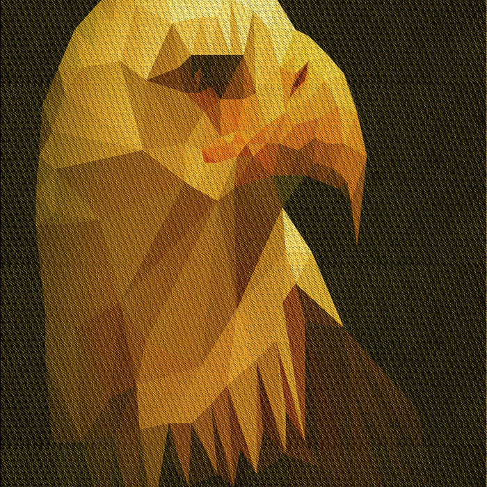 Patterned Black Brown Rug, pat477yw