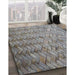 Patterned Gray Novelty Rug in Family Room, pat478