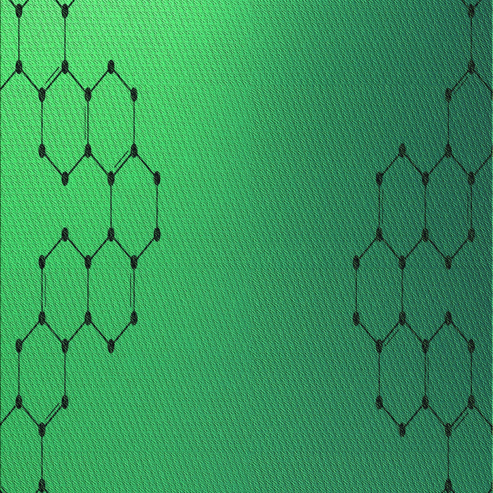 Machine Washable Transitional Neon Green Rug, wshpat479grn