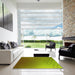 Square Patterned Pistachio Green Rug in a Living Room, pat479yw