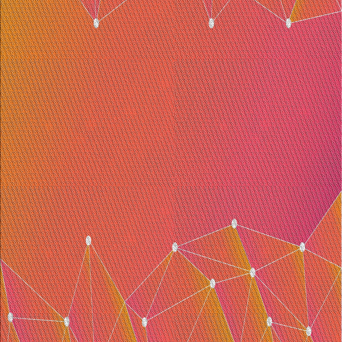 Machine Washable Transitional Red Rug, wshpat480