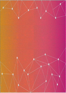 Machine Washable Transitional Red Rug, wshpat481