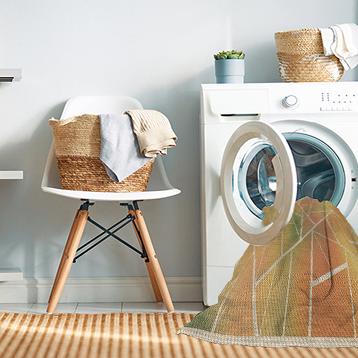 Machine Washable Transitional Orange Rug in a Washing Machine, wshpat482brn