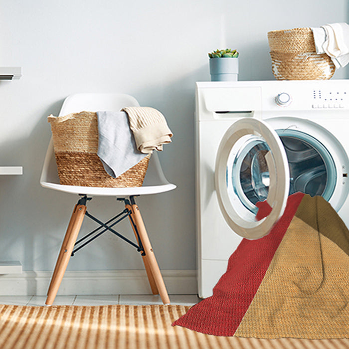 Machine Washable Transitional Cinnamon Brown Rug in a Washing Machine, wshpat484org