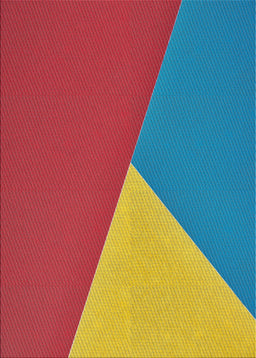 Machine Washable Transitional Red Rug, wshpat484