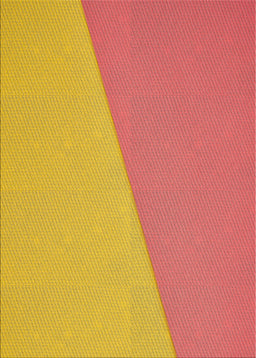 Machine Washable Transitional Red Rug, wshpat485