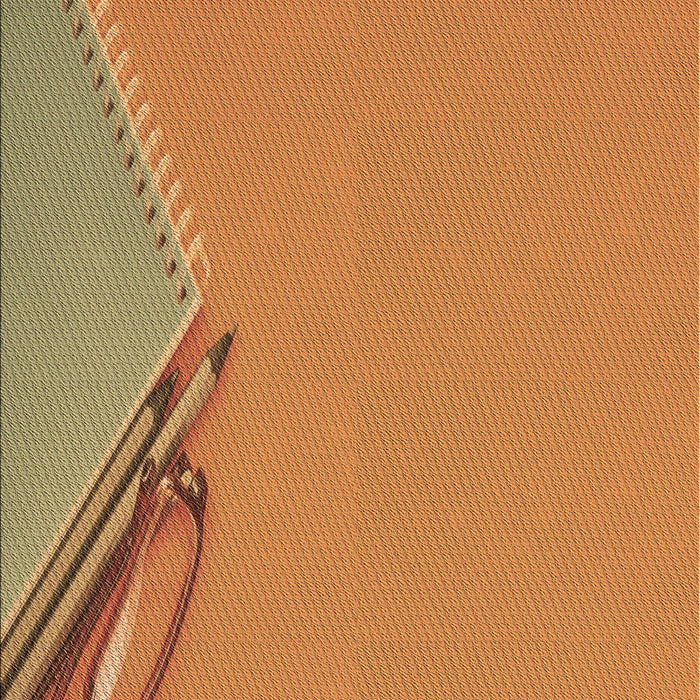 Machine Washable Transitional Orange Rug, wshpat486brn