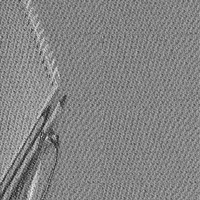 Machine Washable Transitional Smokey Gray Rug, wshpat486gry