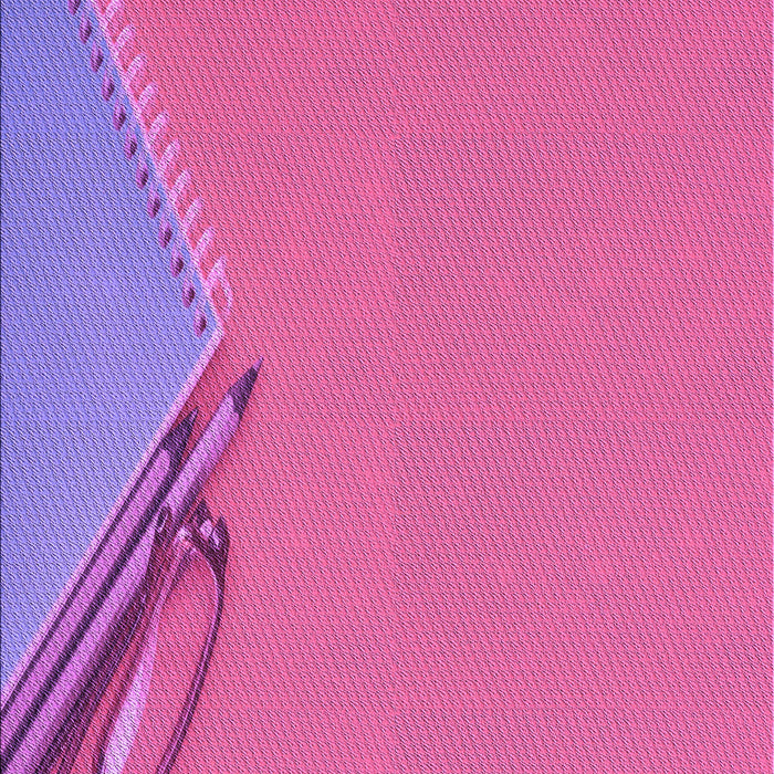 Machine Washable Transitional Deep Pink Rug, wshpat486pur