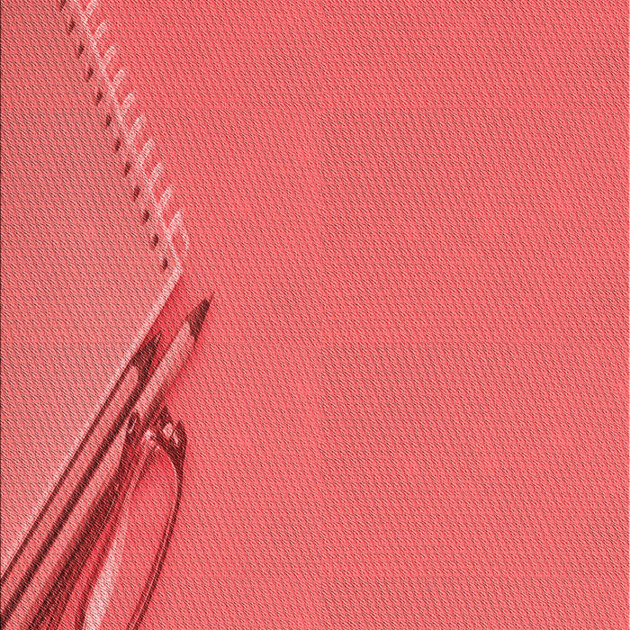 Machine Washable Transitional Red Rug, wshpat486rd