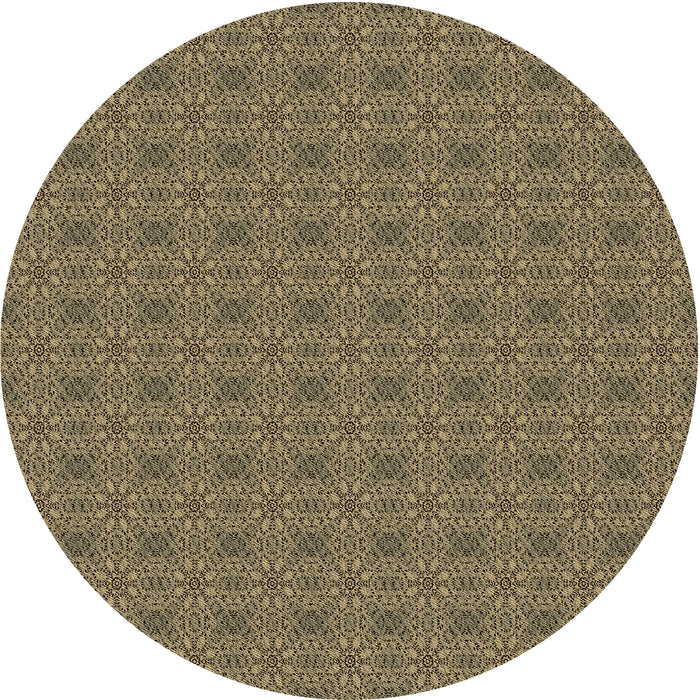 Square Machine Washable Transitional Dark Brown Rug in a Living Room, wshpat488brn