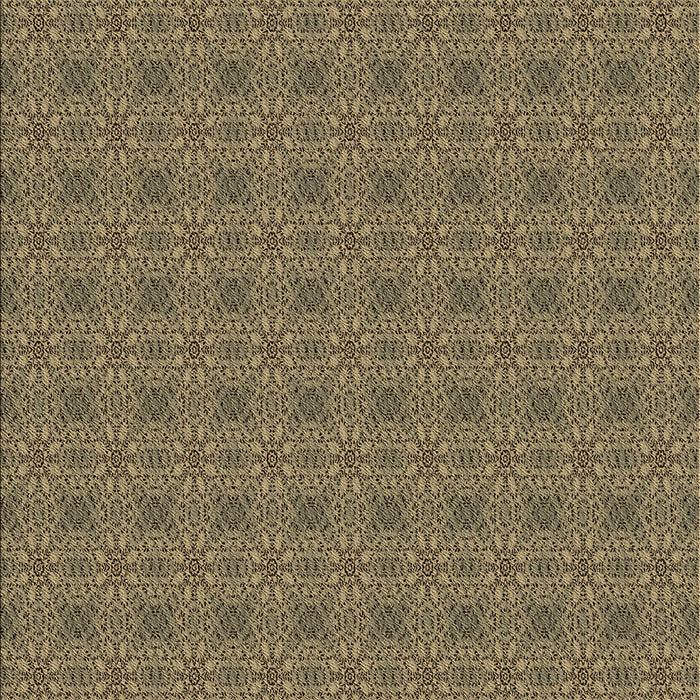 Machine Washable Transitional Dark Brown Rug, wshpat488brn