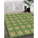 Machine Washable Transitional Antique Bronze Green Rug in a Family Room, wshpat490