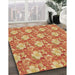Patterned Orange Rug in Family Room, pat493brn