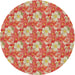 Sideview of Patterned Red Novelty Rug, pat493