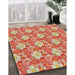 Machine Washable Transitional Red Rug in a Family Room, wshpat493