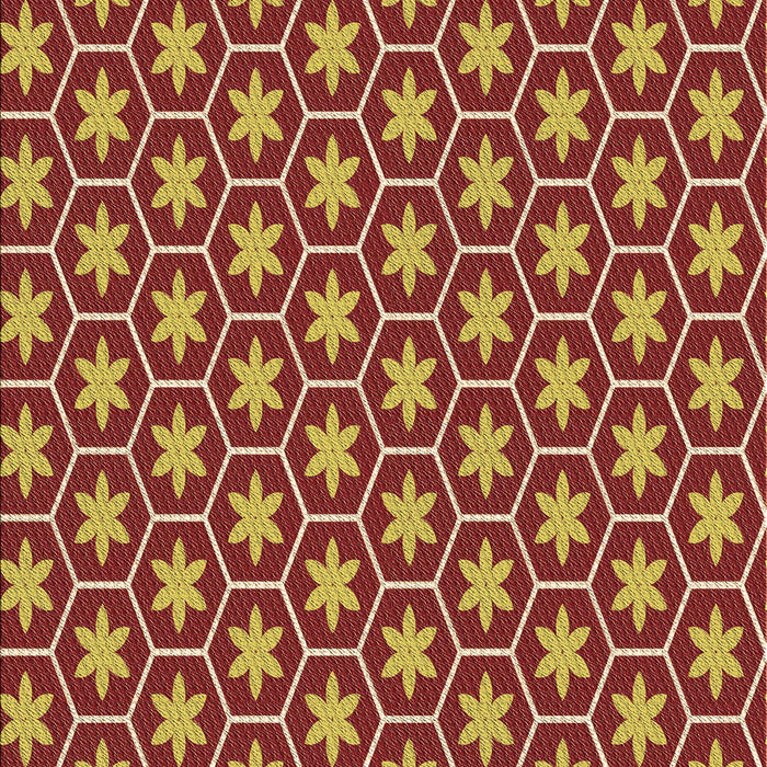 Machine Washable Transitional Red Rug, wshpat499brn