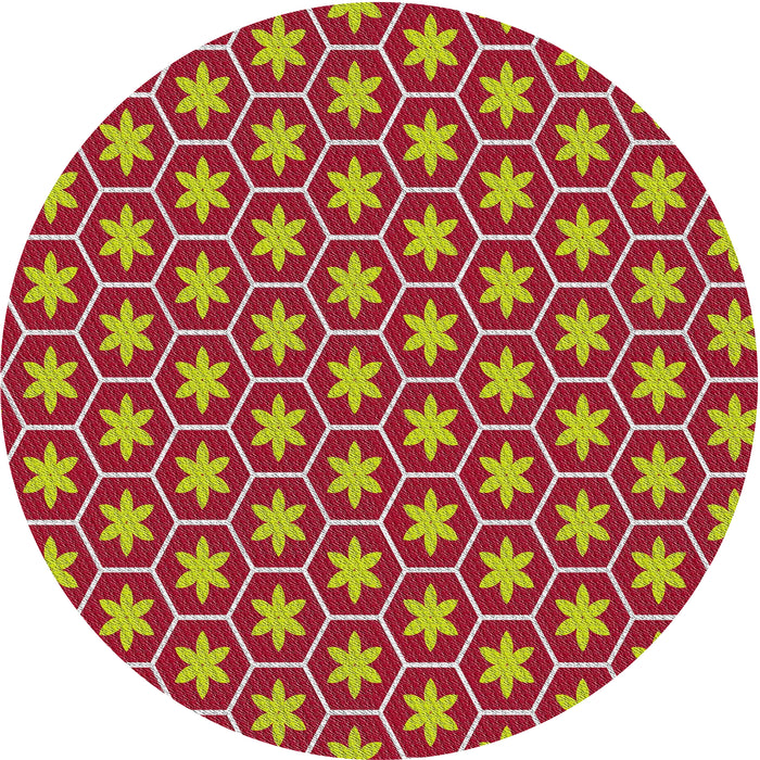 Sideview of Patterned Red Novelty Rug, pat499