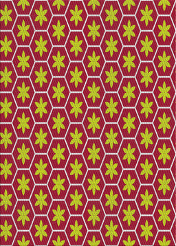 Machine Washable Transitional Red Rug, wshpat499