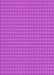 Machine Washable Transitional Fuchsia Magenta Purple Rug, wshpat5pur