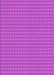 Patterned Fuchsia Magenta Purple Rug, pat5pur