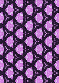Machine Washable Transitional Purple Rug, wshpat503pur