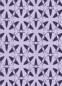 Machine Washable Transitional Purple Rug, wshpat504blu