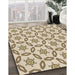 Patterned Golden Blonde Gold Rug in Family Room, pat506brn