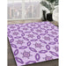 Machine Washable Transitional Medium Orchid Purple Rug in a Family Room, wshpat506pur