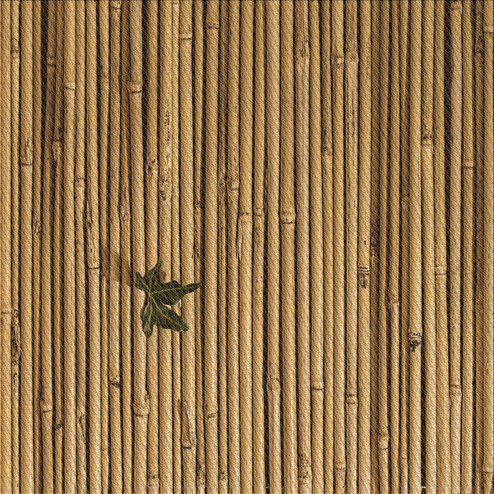 Round Machine Washable Transitional Dark Bronze Brown Rug, wshpat510brn