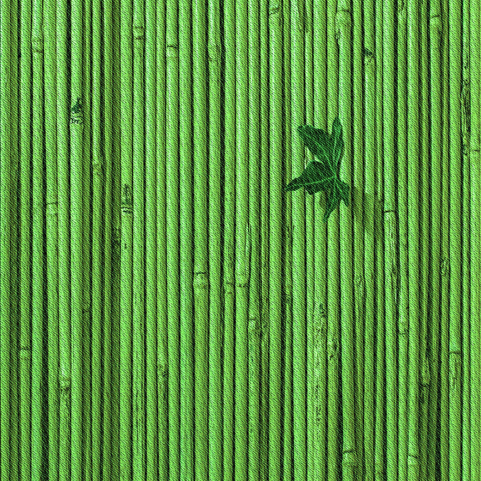 Patterned Green Rug, pat510grn