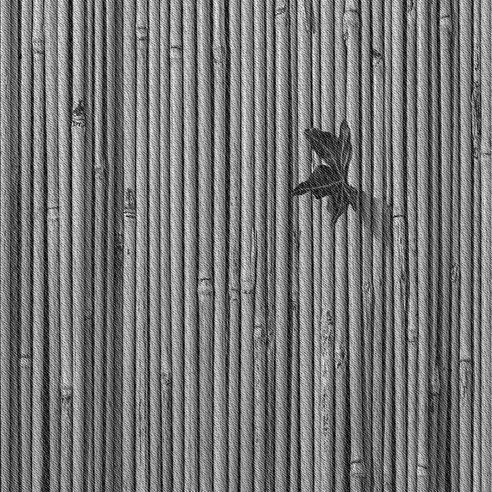 Patterned Black Rug, pat510gry