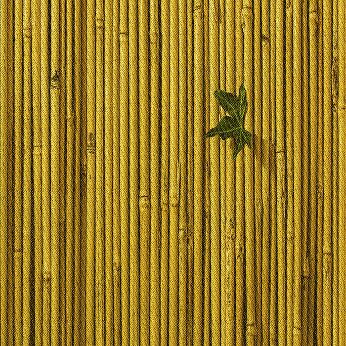 Machine Washable Transitional Dark Bronze Brown Rug, wshpat510yw