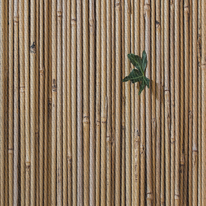 Patterned Reddish Brown Novelty Rug, pat510