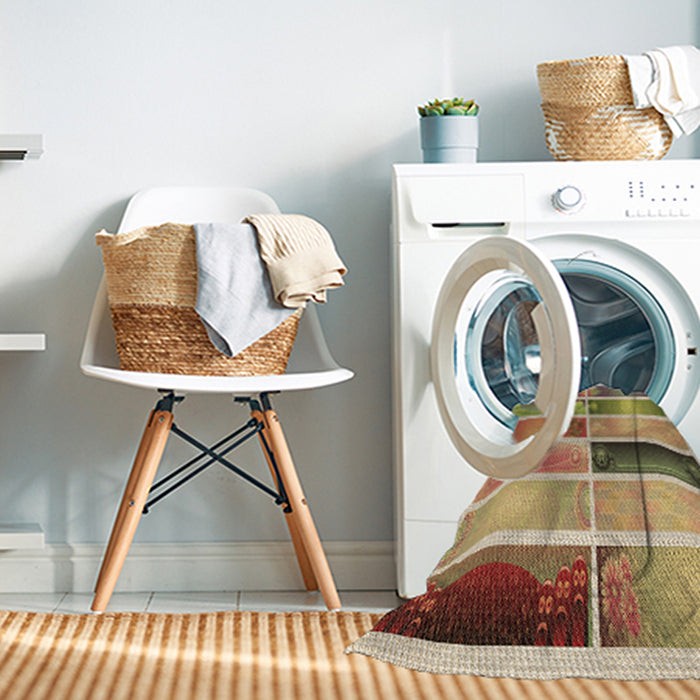 Machine Washable Transitional Red Rug in a Washing Machine, wshpat514brn