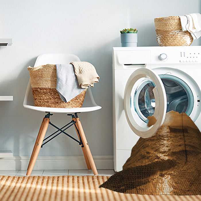 Machine Washable Transitional Red Brown Rug in a Washing Machine, wshpat521org