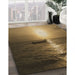 Machine Washable Transitional Caramel Brown Rug in a Family Room, wshpat523brn