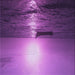 Square Machine Washable Transitional Dark Magenta Purple Rug, wshpat523pur
