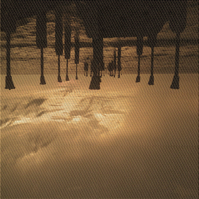 Round Machine Washable Transitional Cinnamon Brown Rug, wshpat524brn