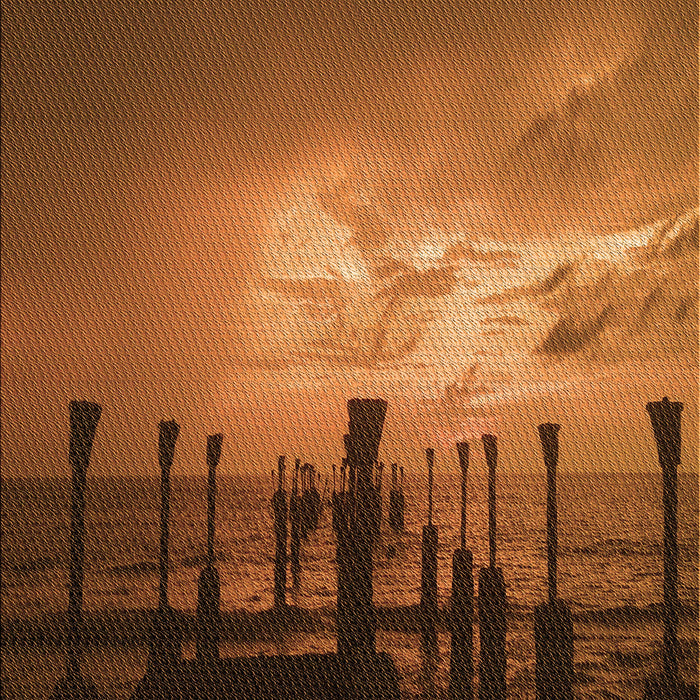 Machine Washable Transitional Orange Rug, wshpat524org