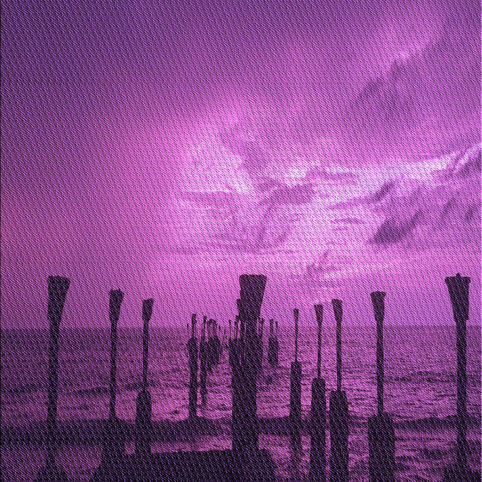 Machine Washable Transitional Purple Rug, wshpat524pur