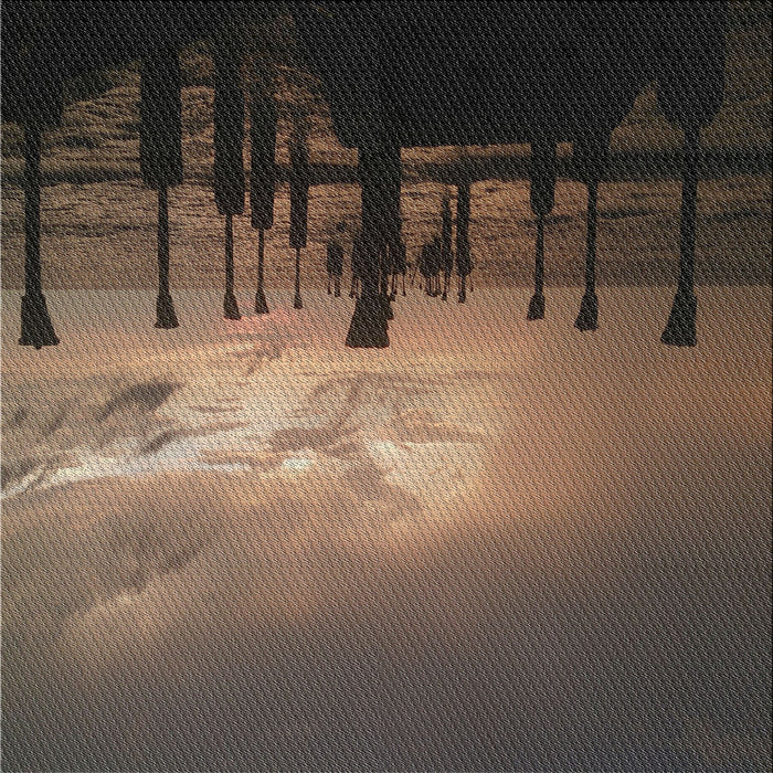 Sideview of Machine Washable Transitional Dark Almond Brown Rug, wshpat524