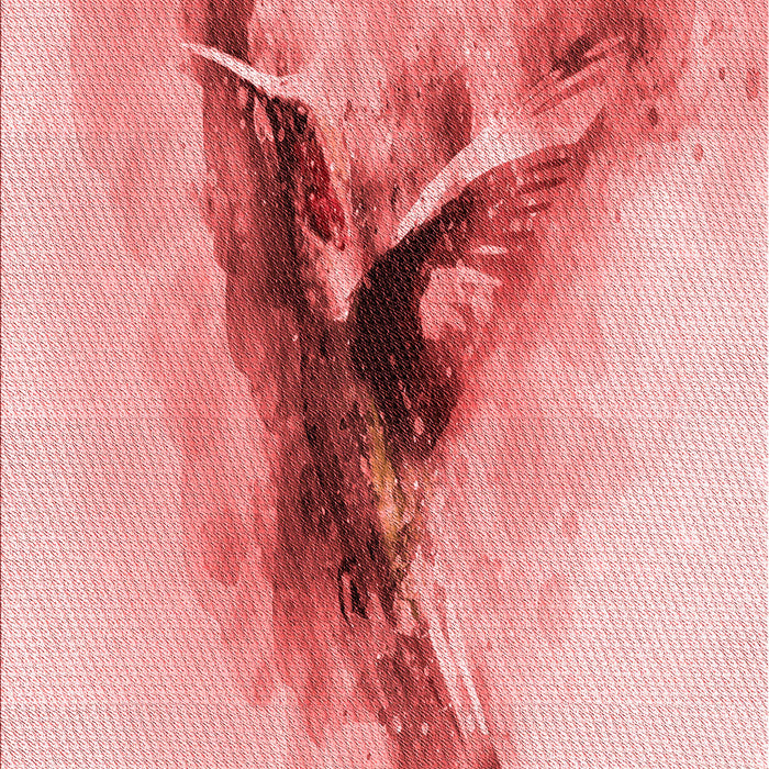 Machine Washable Transitional Red Rug, wshpat528rd