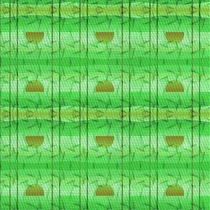 Machine Washable Transitional Neon Green Rug, wshpat530grn