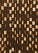 Machine Washable Transitional Light Brown Rug, wshpat534org