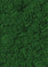 Machine Washable Transitional Green Rug, wshpat535grn