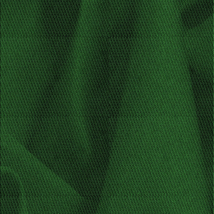 Machine Washable Transitional Green Rug, wshpat536grn