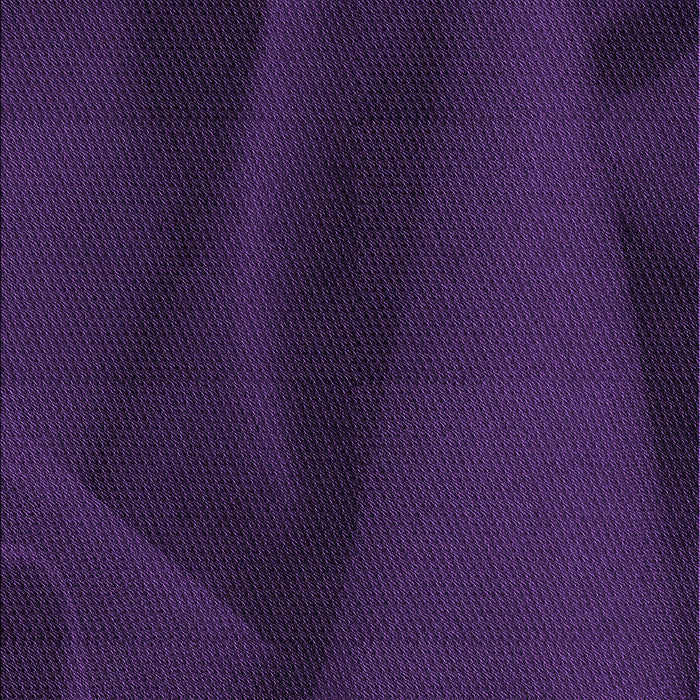 Machine Washable Transitional Deep Purple Rug, wshpat536pur