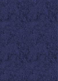 Machine Washable Transitional Night Blue Rug, wshpat537blu